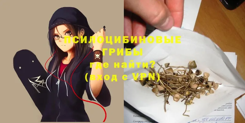 ОМГ ОМГ   Голицыно  Галлюциногенные грибы Magic Shrooms 